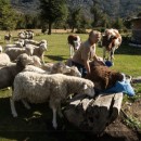 Cultura y Tradiciones, un mundo por descubrir